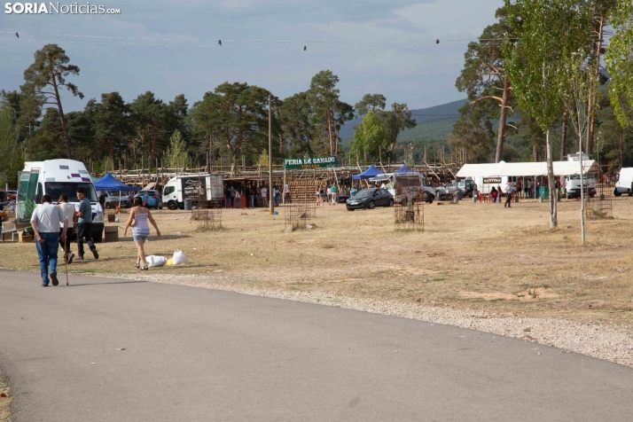 Feria Ganadera de Vinuesa 2026