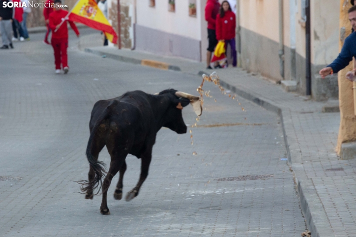GALERÍA | Encierro Arcos de Jalón 2026