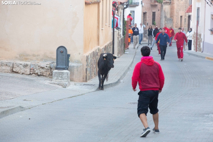 GALERÍA | Encierro Arcos de Jalón 2026