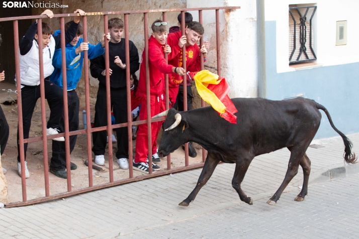 GALERÍA | Encierro Arcos de Jalón 2026