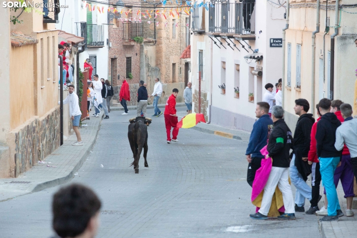 GALERÍA | Encierro Arcos de Jalón 2026
