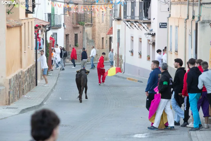 GALERÍA | Encierro Arcos de Jalón 2026