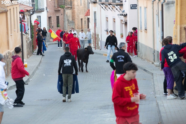 GALERÍA | Encierro Arcos de Jalón 2026