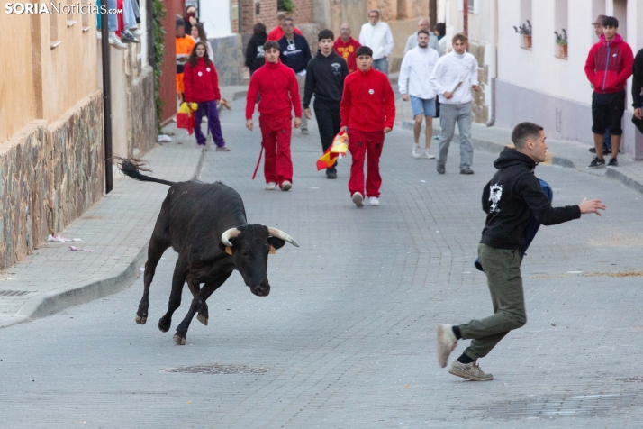 GALERÍA | Encierro Arcos de Jalón 2026