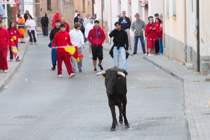 GALERÍA | Encierro Arcos de Jalón 2026