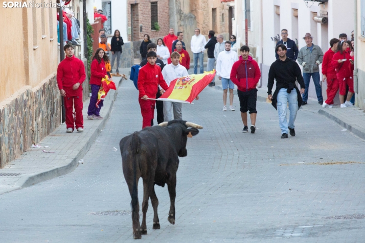 GALERÍA | Encierro Arcos de Jalón 2026