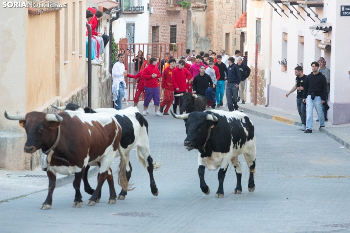GALERÍA | Encierro Arcos de Jalón 2026