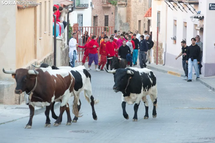 GALERÍA | Encierro Arcos de Jalón 2026
