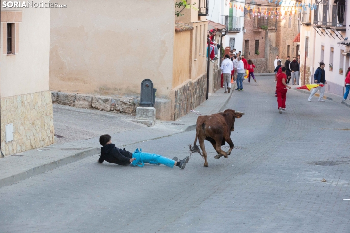 GALERÍA | Encierro Arcos de Jalón 2026