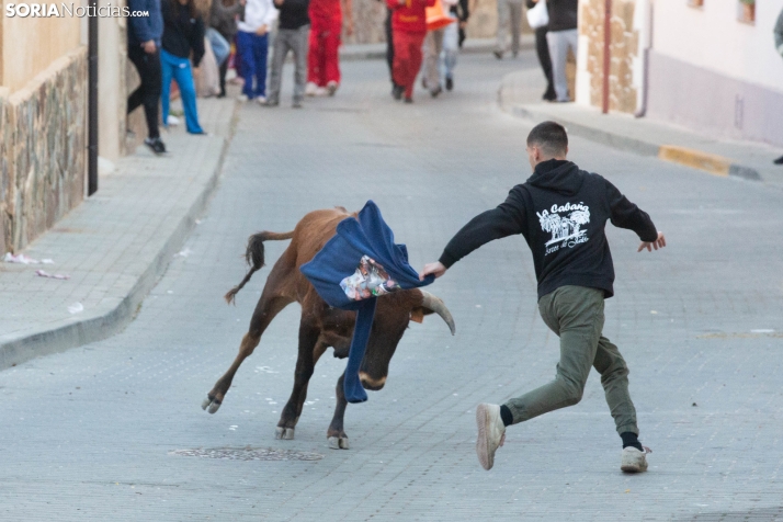GALERÍA | Encierro Arcos de Jalón 2026