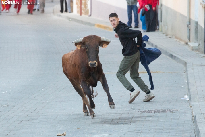 GALERÍA | Encierro Arcos de Jalón 2026