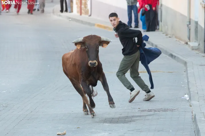 GALERÍA | Encierro Arcos de Jalón 2026