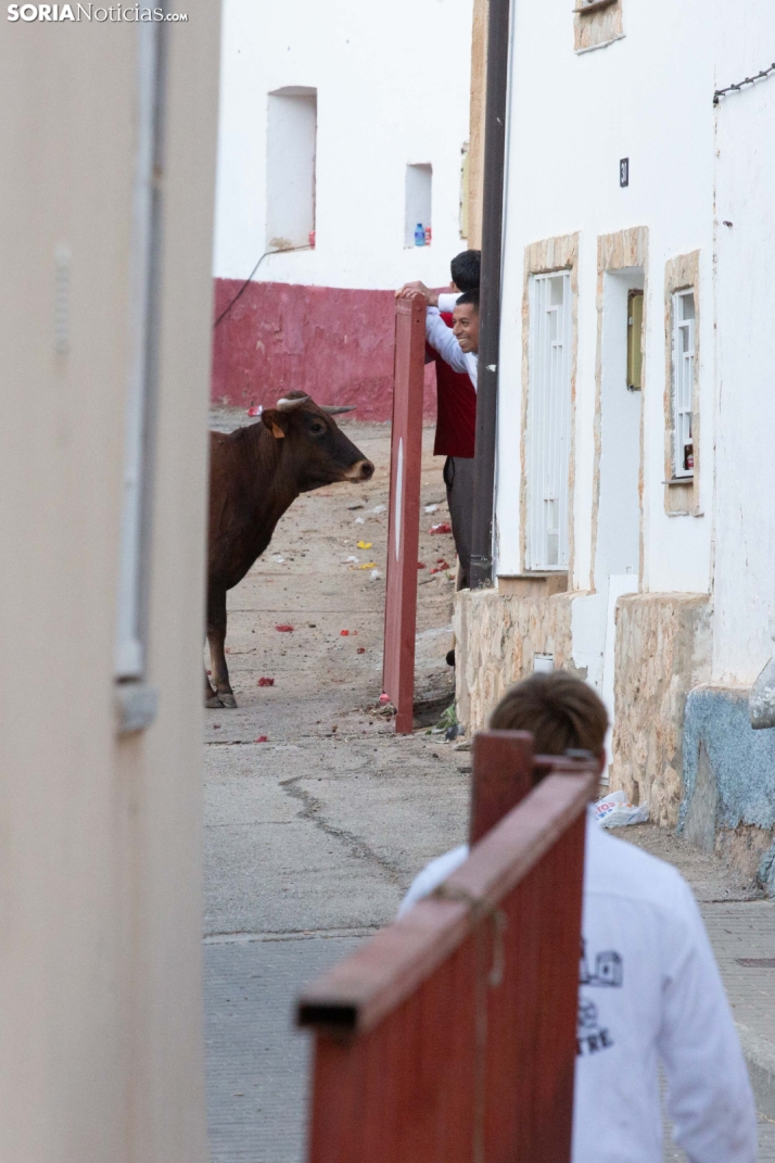 GALERÍA | Encierro Arcos de Jalón 2026