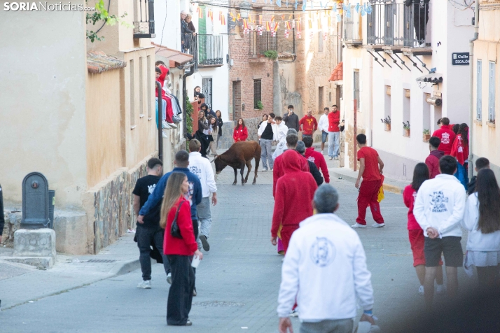 GALERÍA | Encierro Arcos de Jalón 2026
