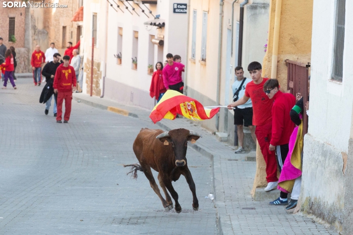 GALERÍA | Encierro Arcos de Jalón 2026