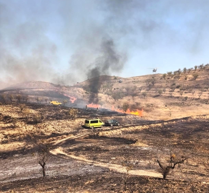 La BRIF de Lubia ayuda a controlar el incendio declarado en la falda riojana de la sierra de Alcarama