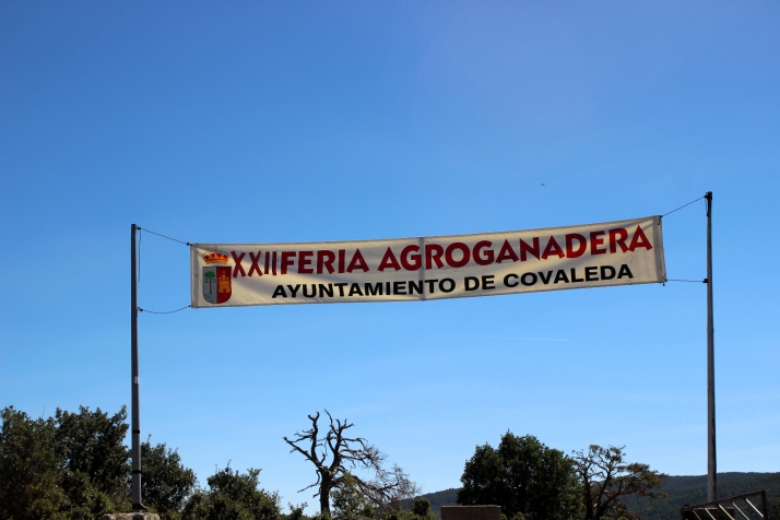 Covaleda presume de tradici&oacute;n ganadera