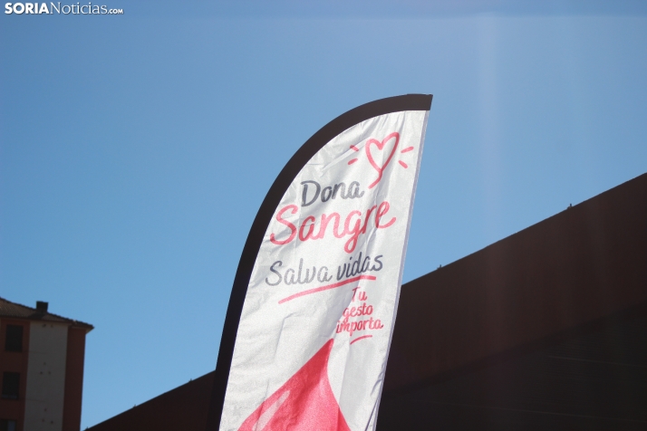 GALER&Iacute;A | Salud y solidaridad en la XII Marcha por la Vida
