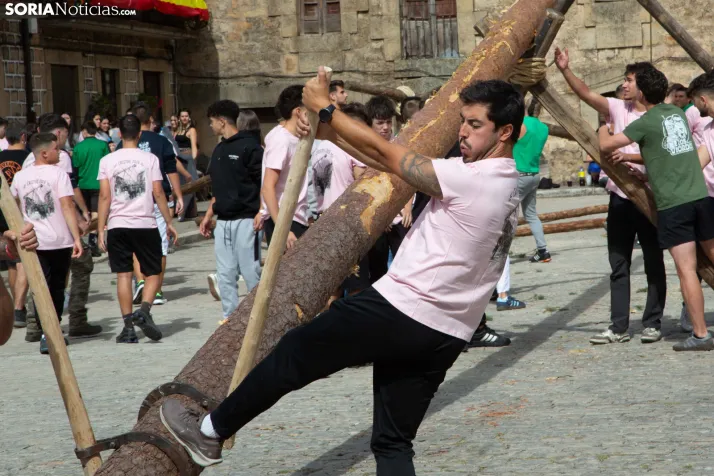 Pingada del Mayo y Pregón Duruelo 2026