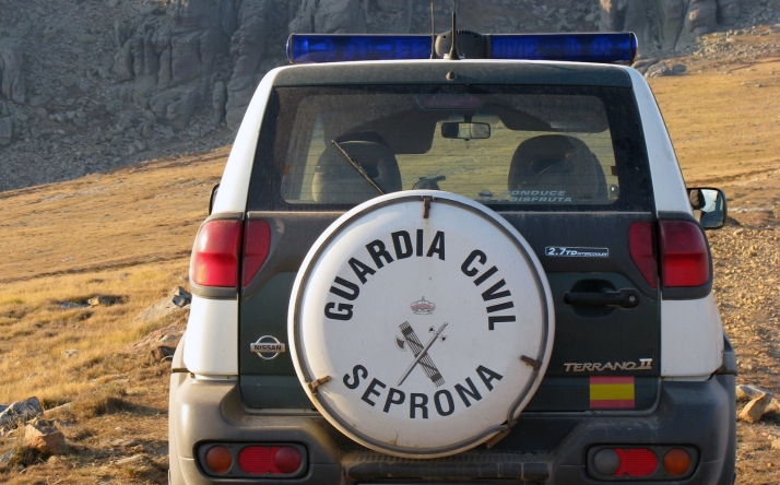 Fraude forestal en Pinares: La Guardia Civil detiene a dos personas por desviar 50 toneladas de pino