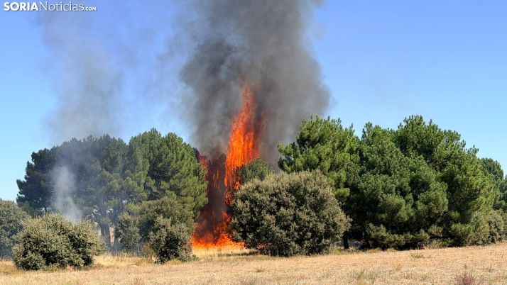 Un incendio  en Cubo de la Solana moviliza a medios aéreos y terrestres