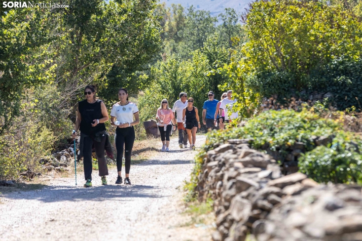 II Romería de El Valle 2026./ Viksar Fotografía