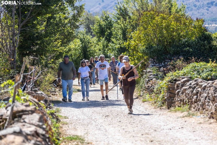 II Romería de El Valle 2026./ Viksar Fotografía