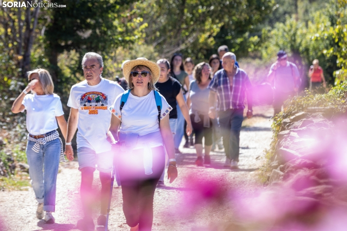 II Romería de El Valle 2026./ Viksar Fotografía