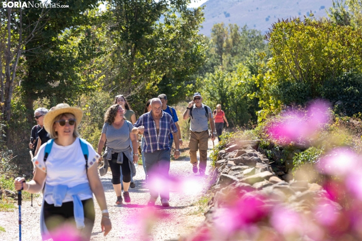 II Romería de El Valle 2026./ Viksar Fotografía
