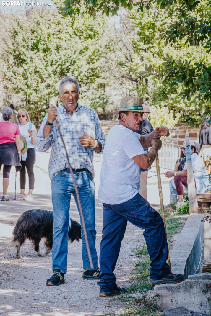 II Romería de El Valle 2026./ Viksar Fotografía