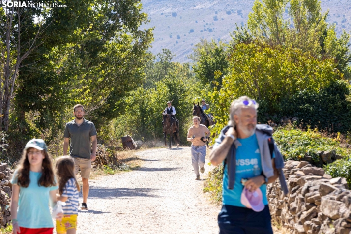 II Romería de El Valle 2026./ Viksar Fotografía