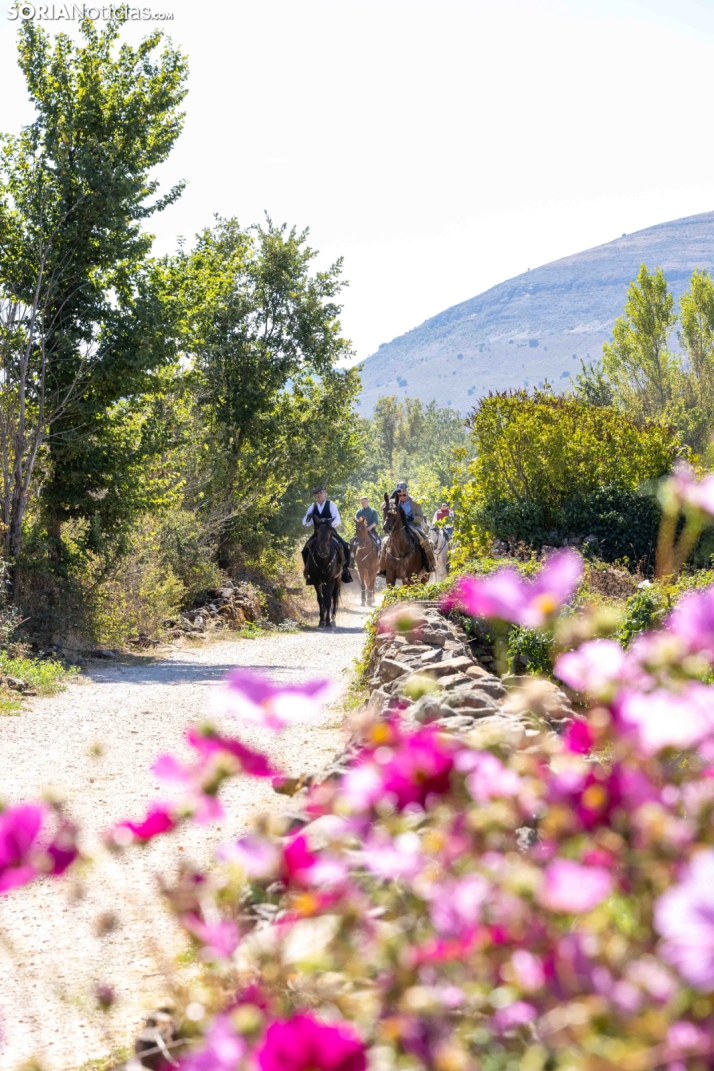 II Romería de El Valle 2026./ Viksar Fotografía