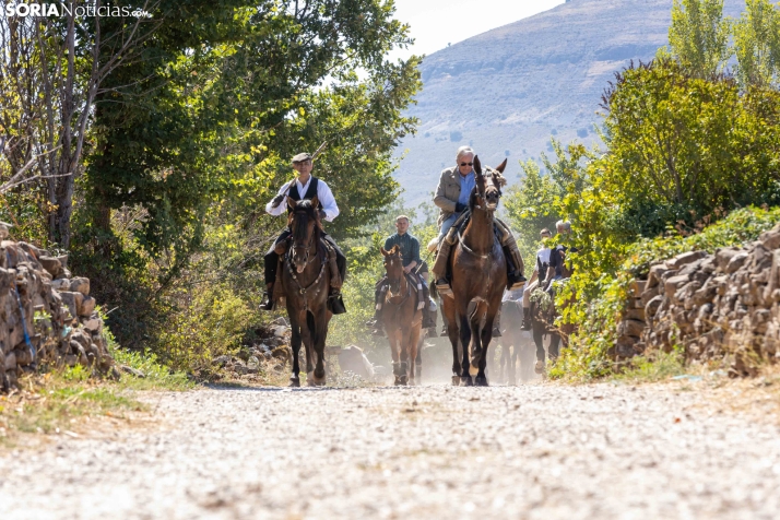 II Romería de El Valle 2026./ Viksar Fotografía