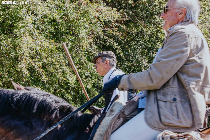 II Romería de El Valle 2026./ Viksar Fotografía