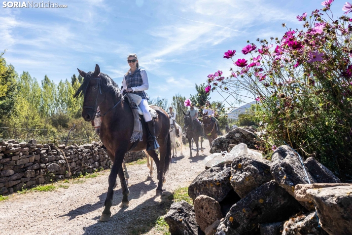 II Romería de El Valle 2026./ Viksar Fotografía