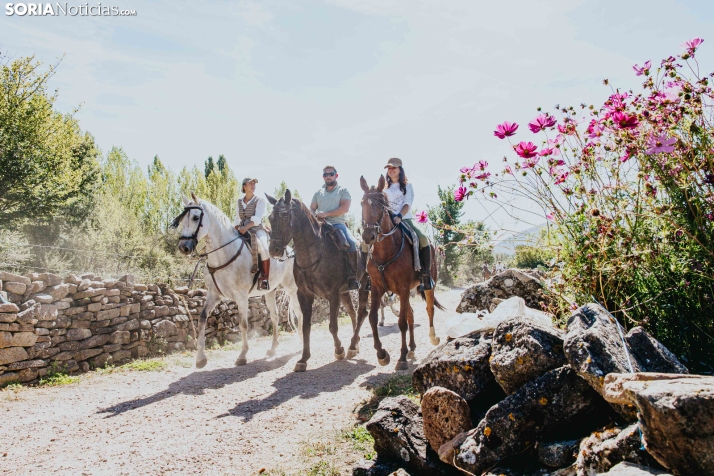 II Romería de El Valle 2026./ Viksar Fotografía