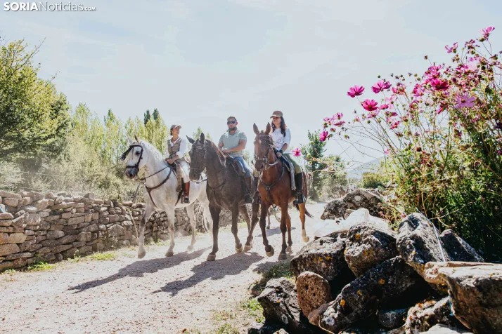 II Romería de El Valle 2026./ Viksar Fotografía