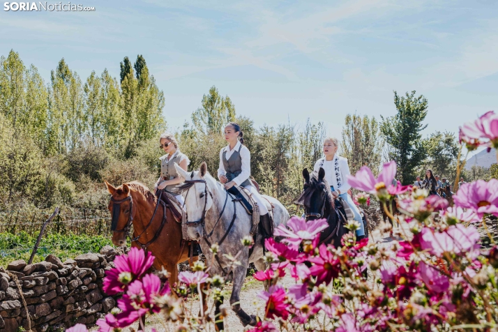 II Romería de El Valle 2026./ Viksar Fotografía