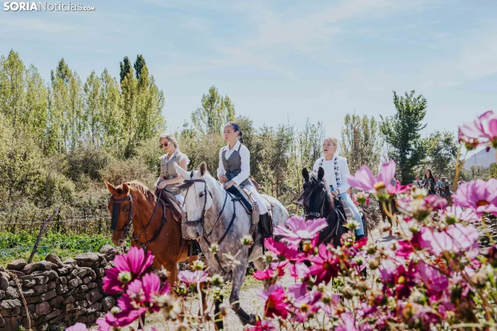 II Romería de El Valle 2026./ Viksar Fotografía