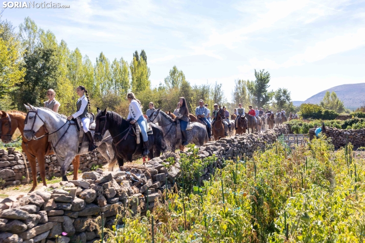 II Romería de El Valle 2026./ Viksar Fotografía