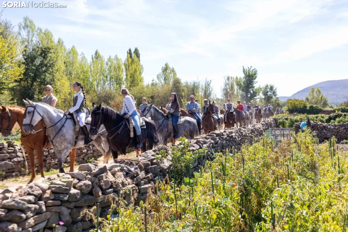 II Romería de El Valle 2026./ Viksar Fotografía