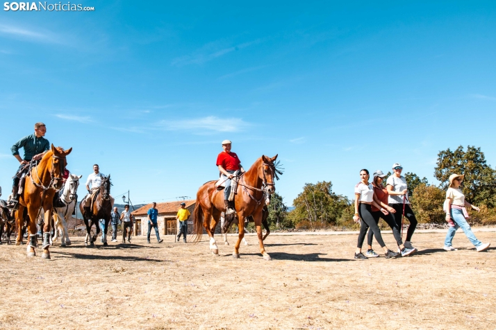 II Romería de El Valle 2026./ Viksar Fotografía