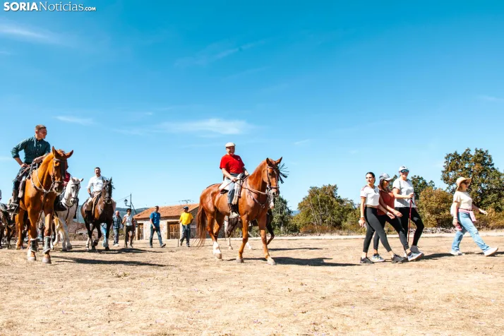 II Romería de El Valle 2026./ Viksar Fotografía