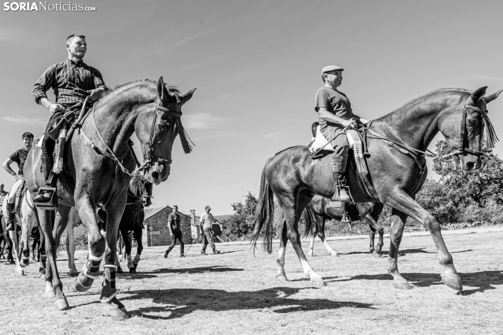 II Romería de El Valle 2026./ Viksar Fotografía