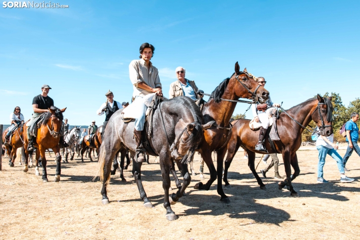 II Romería de El Valle 2026./ Viksar Fotografía