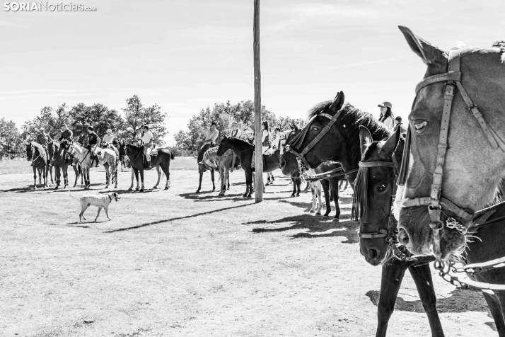 II Romería de El Valle 2026./ Viksar Fotografía