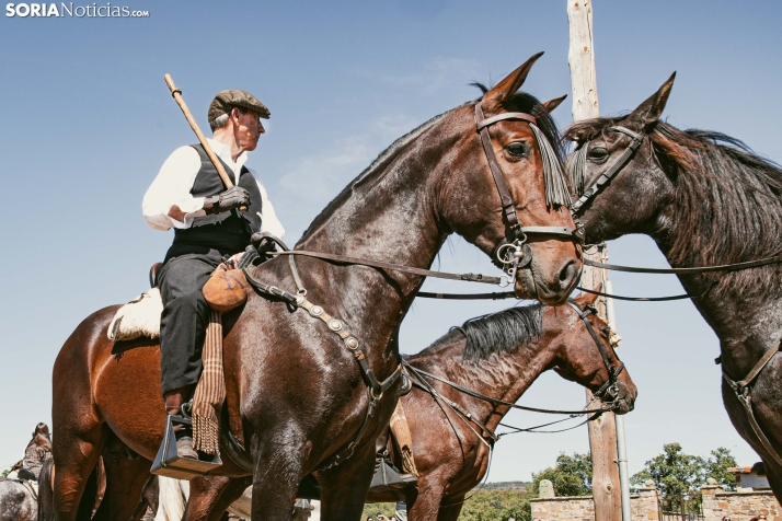 II Romería de El Valle 2026./ Viksar Fotografía