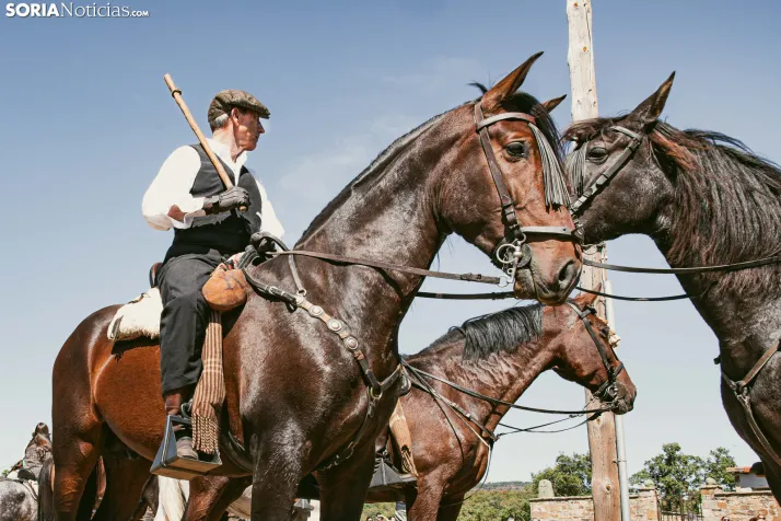 II Romería de El Valle 2026./ Viksar Fotografía