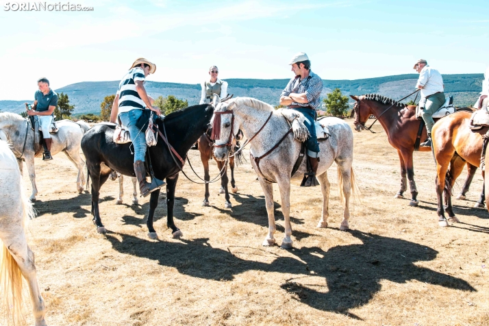 II Romería de El Valle 2026./ Viksar Fotografía