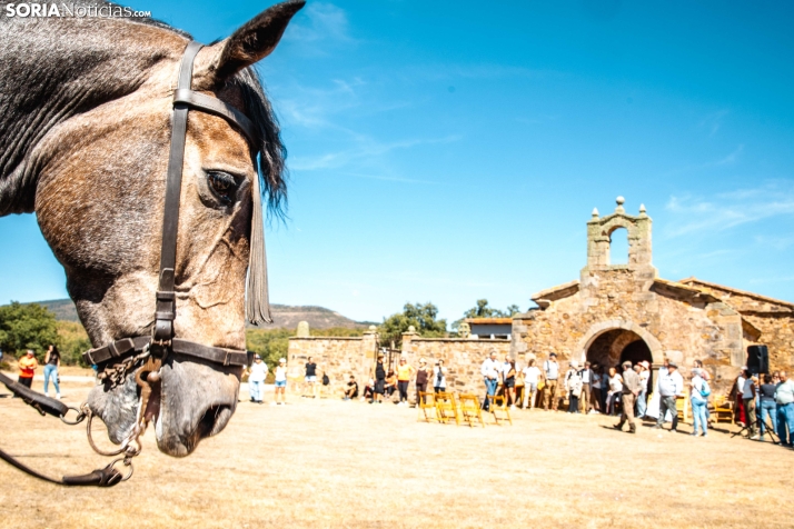 II Romería de El Valle 2026./ Viksar Fotografía